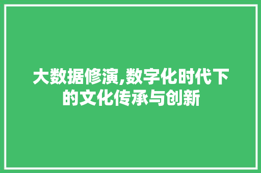 大数据修演,数字化时代下的文化传承与创新 网站建设公司