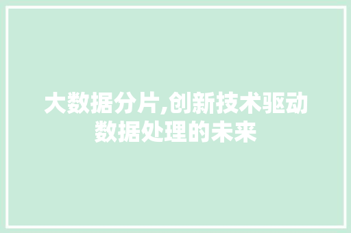 大数据分片,创新技术驱动数据处理的未来 搜狗SEO