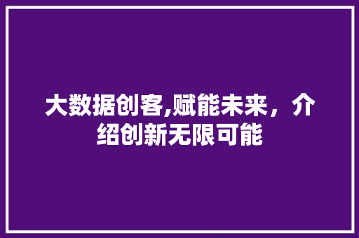 大数据创客,赋能未来，介绍创新无限可能 SEO关键词