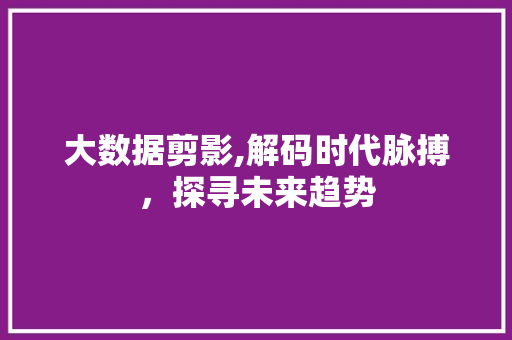 大数据剪影,解码时代脉搏，探寻未来趋势