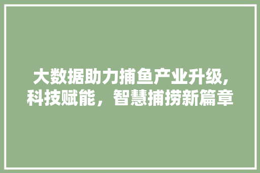 大数据助力捕鱼产业升级,科技赋能，智慧捕捞新篇章 百度SEO
