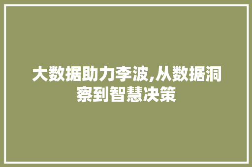 大数据助力李波,从数据洞察到智慧决策 神马SEO