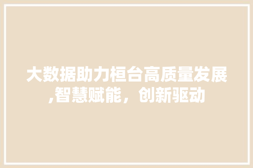 大数据助力桓台高质量发展,智慧赋能，创新驱动 SEO关键词