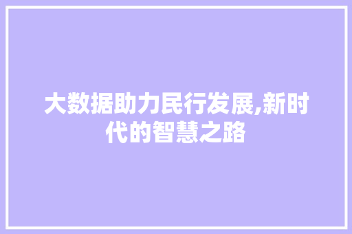 大数据助力民行发展,新时代的智慧之路 网站建设公司