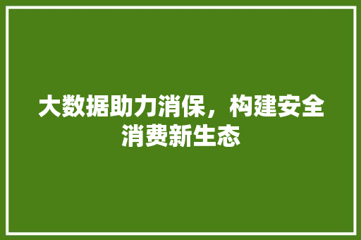 大数据助力消保，构建安全消费新生态 百度SEO