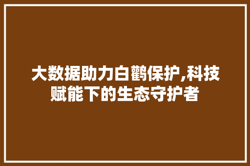 大数据助力白鹳保护,科技赋能下的生态守护者 必应SEO