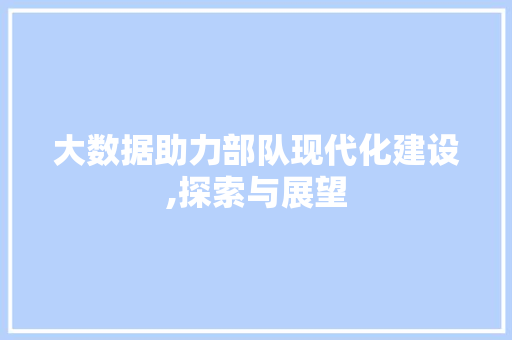 大数据助力部队现代化建设,探索与展望
