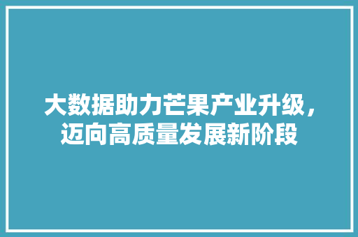 大数据助力芒果产业升级，迈向高质量发展新阶段 必应SEO