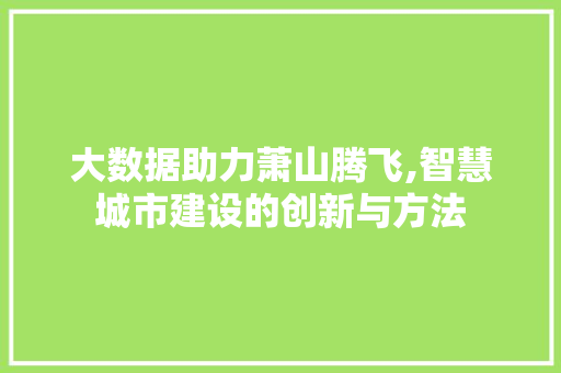 大数据助力萧山腾飞,智慧城市建设的创新与方法