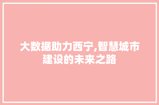 大数据助力西宁,智慧城市建设的未来之路