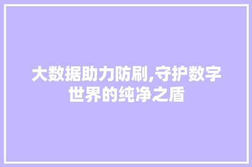 大数据助力防刷,守护数字世界的纯净之盾