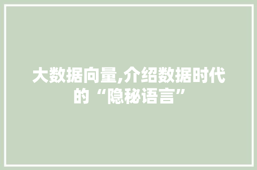 大数据向量,介绍数据时代的“隐秘语言”