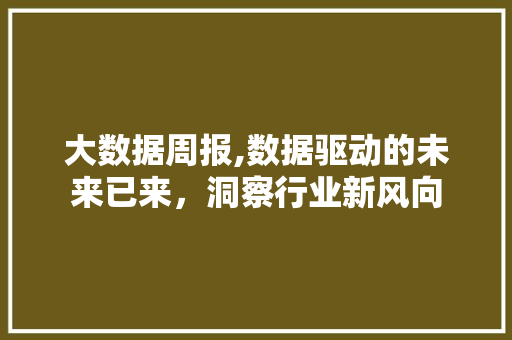 大数据周报,数据驱动的未来已来，洞察行业新风向 SEO关键词