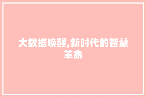 大数据唤醒,新时代的智慧革命