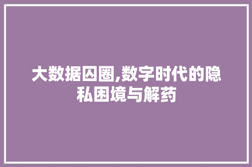 大数据囚圈,数字时代的隐私困境与解药 网站建设公司