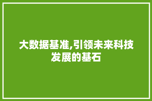 大数据基准,引领未来科技发展的基石 必应SEO