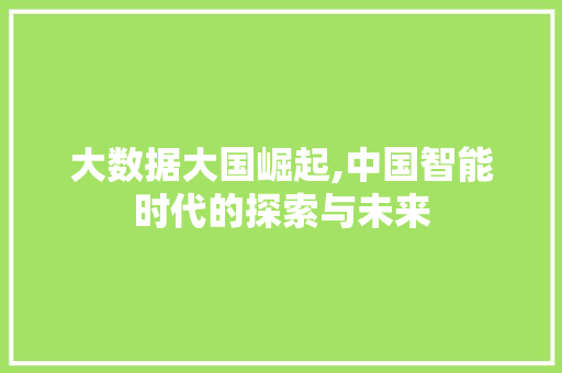 大数据大国崛起,中国智能时代的探索与未来 SEO关键词