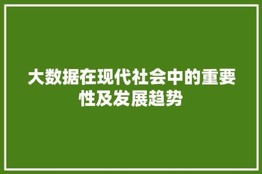大数据在现代社会中的重要性及发展趋势 必应SEO