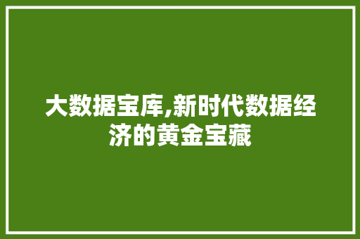 大数据宝库,新时代数据经济的黄金宝藏 必应SEO