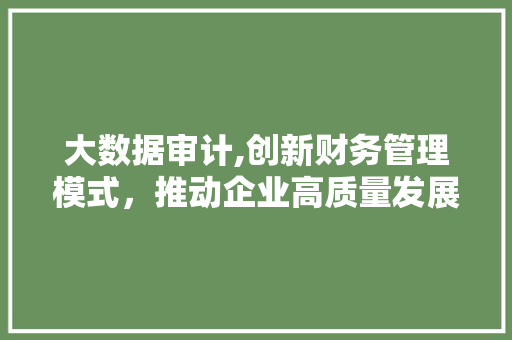 大数据审计,创新财务管理模式，推动企业高质量发展