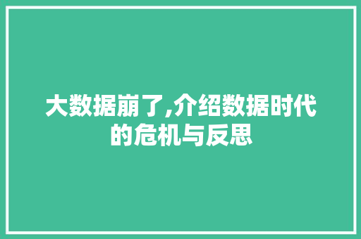 大数据崩了,介绍数据时代的危机与反思