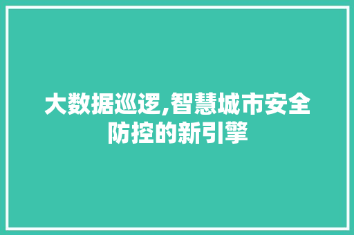大数据巡逻,智慧城市安全防控的新引擎