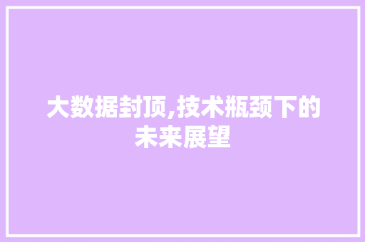 大数据封顶,技术瓶颈下的未来展望