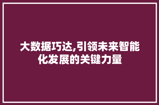 大数据巧达,引领未来智能化发展的关键力量