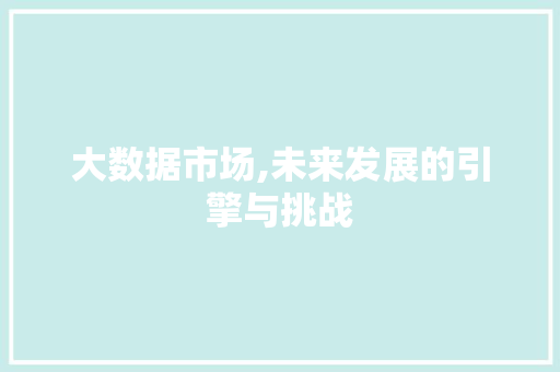 大数据市场,未来发展的引擎与挑战