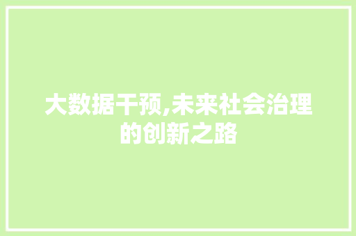 大数据干预,未来社会治理的创新之路
