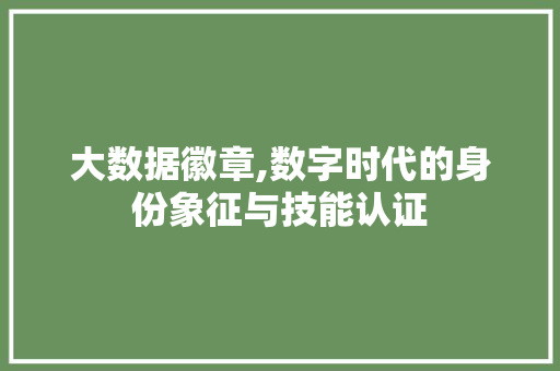 大数据徽章,数字时代的身份象征与技能认证 必应SEO