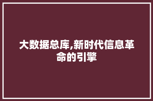 大数据总库,新时代信息革命的引擎 搜狗SEO