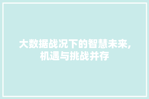 大数据战况下的智慧未来,机遇与挑战并存