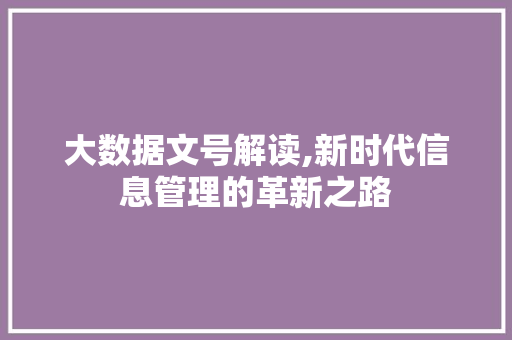 大数据文号解读,新时代信息管理的革新之路 百度SEO