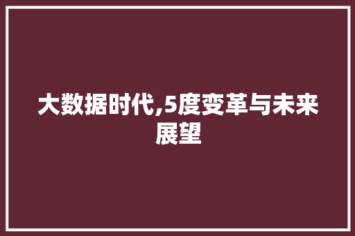 大数据时代,5度变革与未来展望 网站建设公司