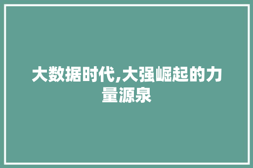 大数据时代,大强崛起的力量源泉