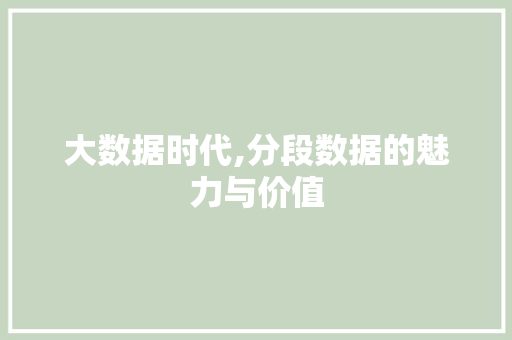 大数据时代,分段数据的魅力与价值