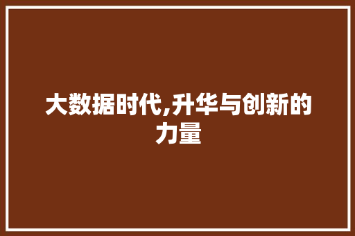 大数据时代,升华与创新的力量