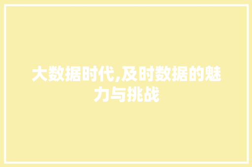 大数据时代,及时数据的魅力与挑战