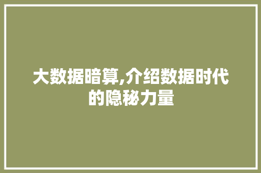 大数据暗算,介绍数据时代的隐秘力量 必应SEO