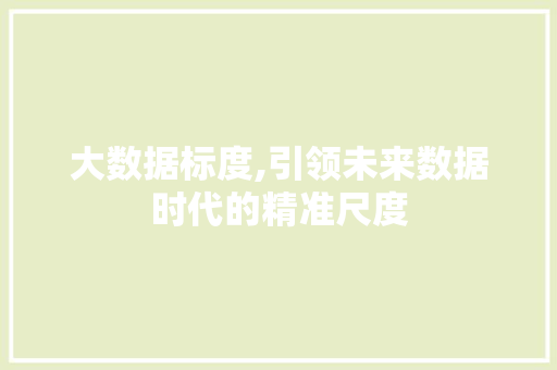 大数据标度,引领未来数据时代的精准尺度