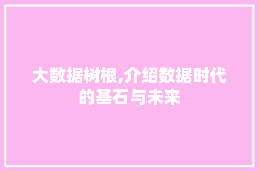 大数据树根,介绍数据时代的基石与未来