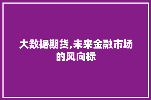大数据期货,未来金融市场的风向标 百度SEO