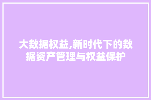 大数据权益,新时代下的数据资产管理与权益保护