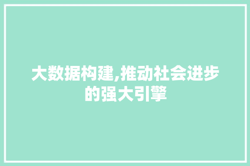 大数据构建,推动社会进步的强大引擎 必应SEO