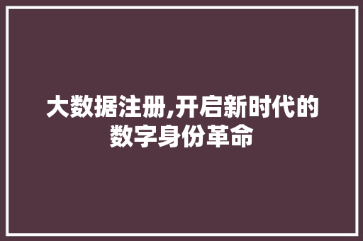 大数据注册,开启新时代的数字身份革命 SEO关键词
