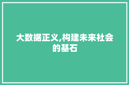 大数据正义,构建未来社会的基石