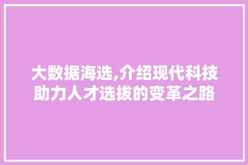 大数据海选,介绍现代科技助力人才选拔的变革之路 必应SEO
