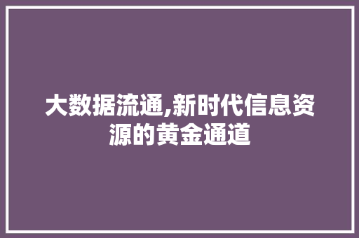大数据流通,新时代信息资源的黄金通道
