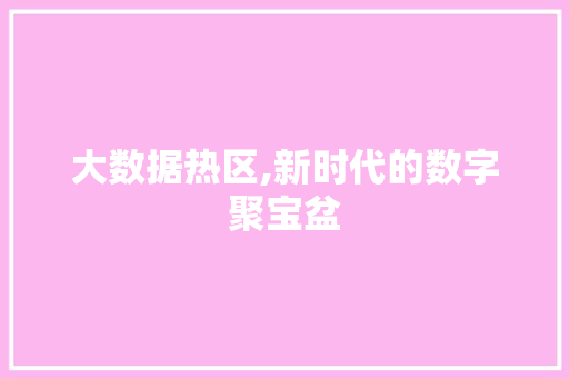 大数据热区,新时代的数字聚宝盆 必应SEO
